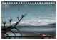 Thumbnail-11