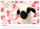 Thumbnail-11