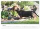 Thumbnail-12