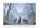 Thumbnail-14