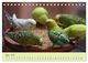 Thumbnail-9