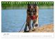 Thumbnail-9