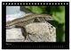Thumbnail-10