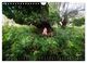 Thumbnail-8