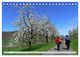 Thumbnail-9