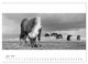 Thumbnail-11