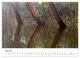 Thumbnail-11