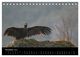 Thumbnail-13