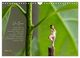 Thumbnail-10