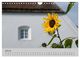 Thumbnail-12