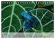 Thumbnail-12