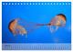 Thumbnail-12