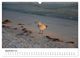Thumbnail-14