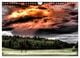 Thumbnail-10
