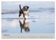 Thumbnail-12