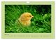 Thumbnail-10