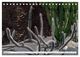 Thumbnail-13