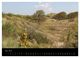 Thumbnail-10