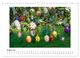 Thumbnail-13