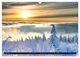 Thumbnail-14