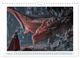 Thumbnail-12