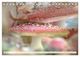 Thumbnail-10