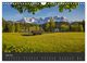 Thumbnail-8
