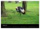 Thumbnail-10