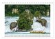 Thumbnail-14
