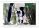 Thumbnail-11