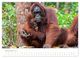 Thumbnail-12