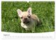Thumbnail-12