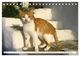 Thumbnail-7