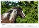 Thumbnail-12