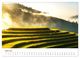 Thumbnail-8