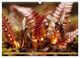 Thumbnail-10