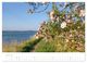 Thumbnail-9
