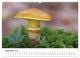 Thumbnail-11