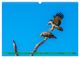 Thumbnail-10