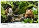 Thumbnail-11
