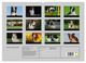 Thumbnail-4