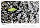 Thumbnail-10