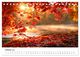 Thumbnail-12
