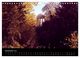 Thumbnail-14