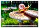 Thumbnail-10