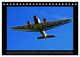 Thumbnail-14