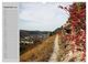 Thumbnail-14