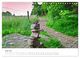 Thumbnail-11