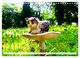 Thumbnail-11