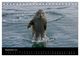 Thumbnail-14